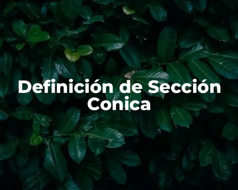 Definición de Sección Conica