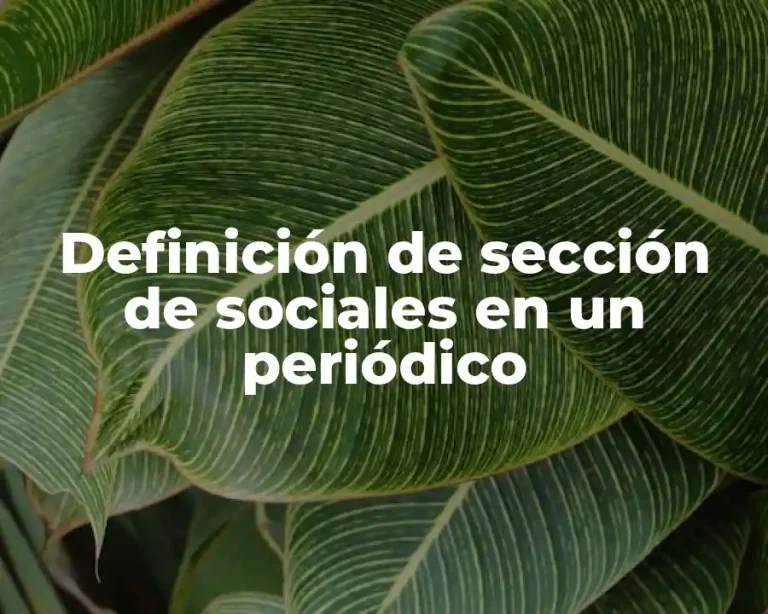 Definición de sección de sociales en un periódico