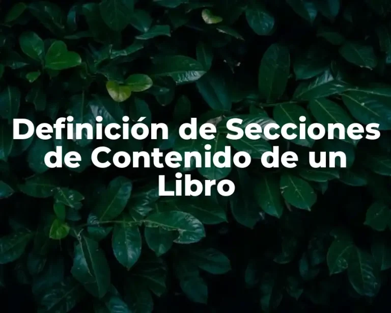 Definición de Secciones de Contenido de un Libro