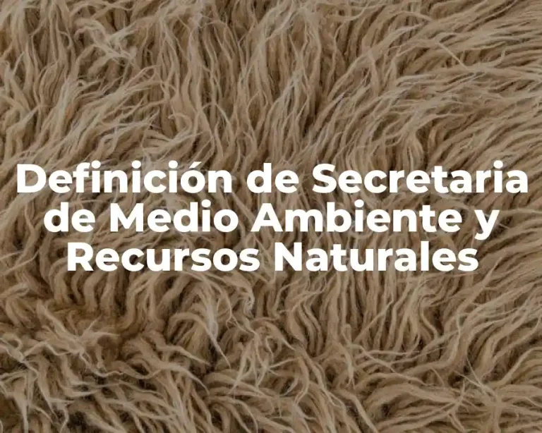 Definición de Secretaria de Medio Ambiente y Recursos Naturales