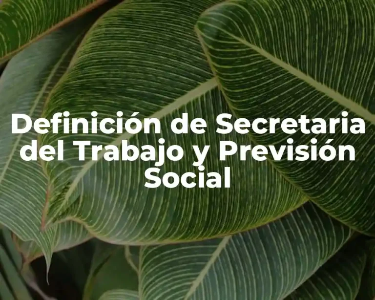 Definición de Secretaria del Trabajo y Previsión Social