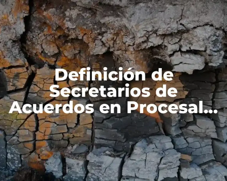 Definición de Secretarios de Acuerdos en Procesal Civil