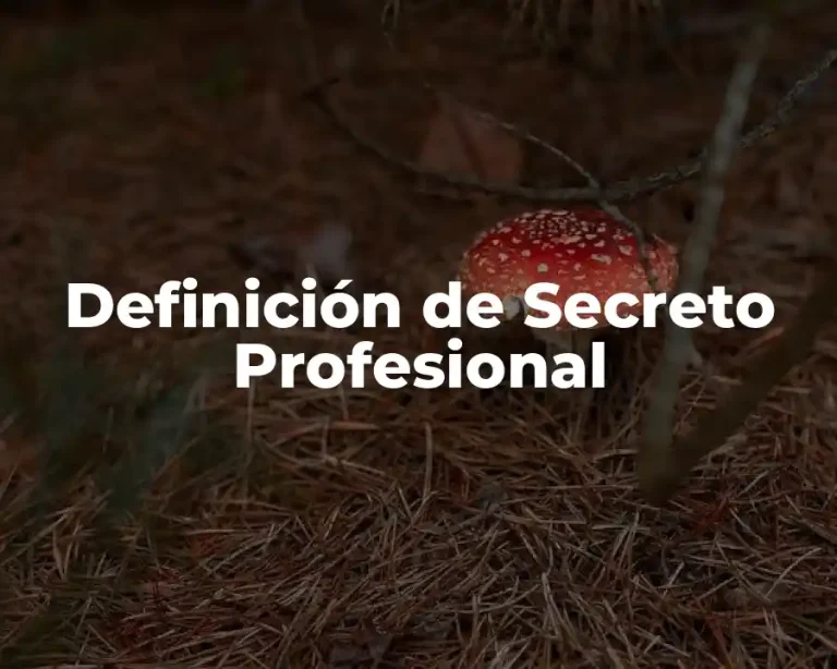 Definición de Secreto Profesional