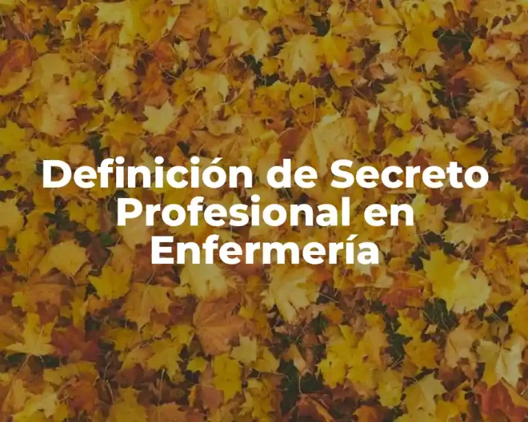 Definición de Secreto Profesional en Enfermería