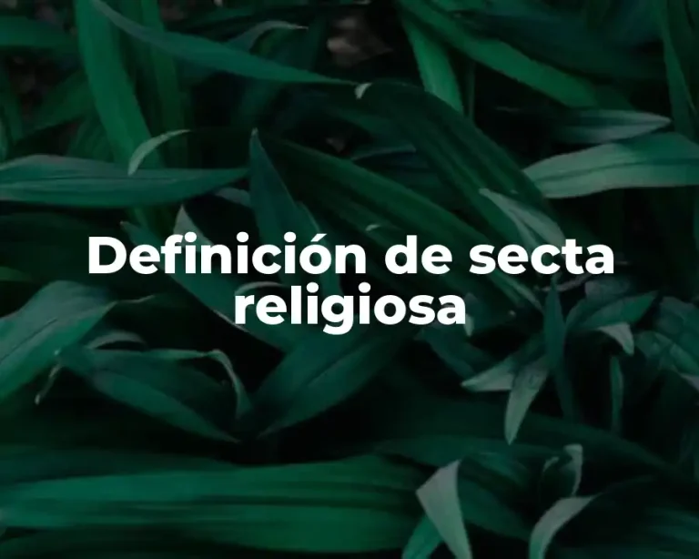 Definición de secta religiosa
