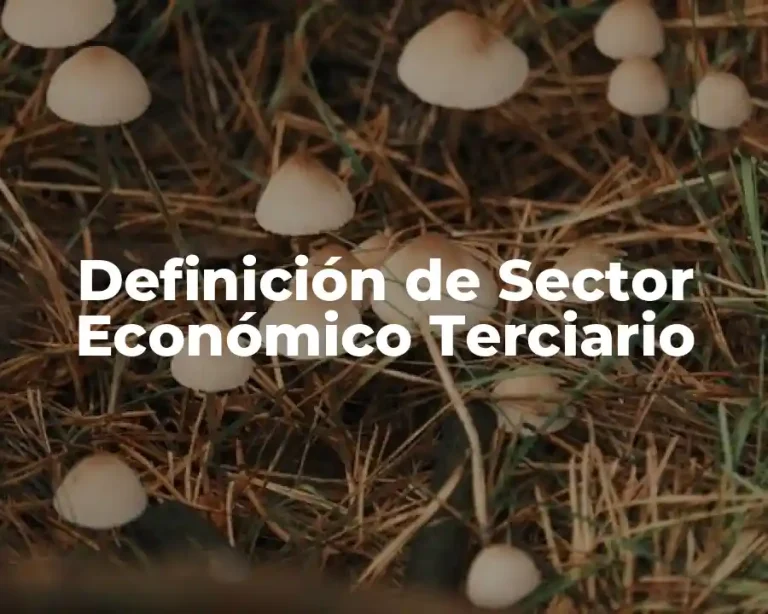 Definición de Sector Económico Terciario