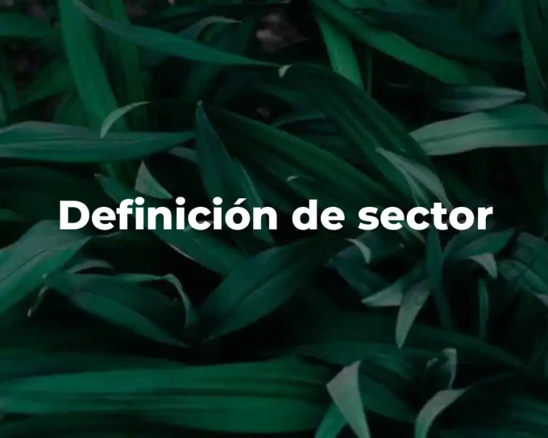 Definición de sector