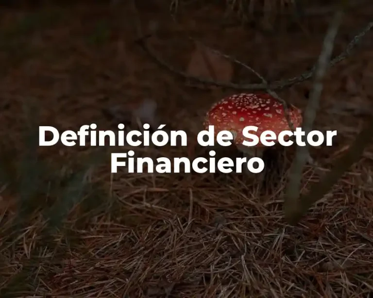 Definición de Sector Financiero