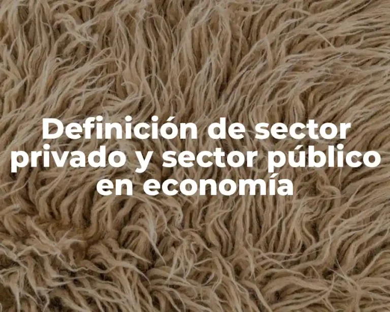 Definición de sector privado y sector público en economía