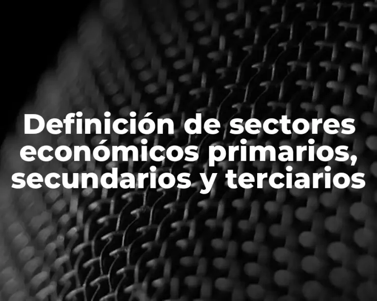 Definición de sectores económicos primarios, secundarios y terciarios
