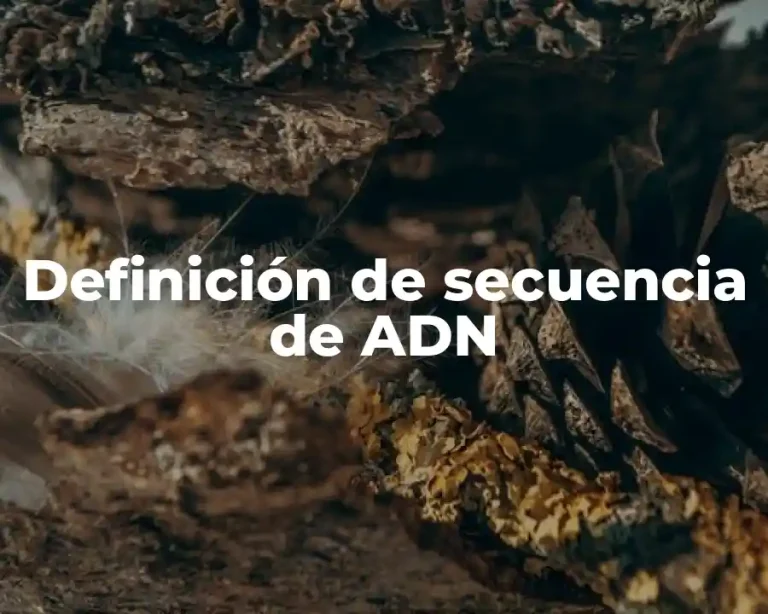 Definición de secuencia de ADN