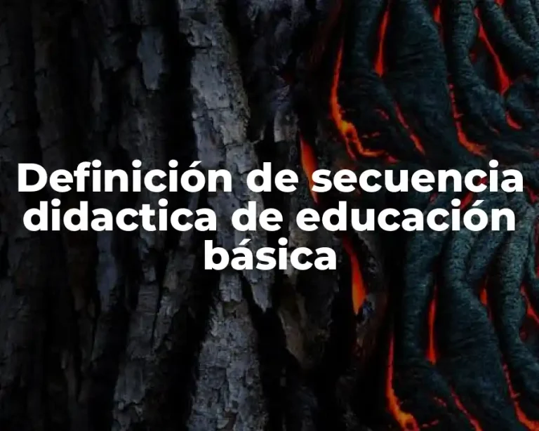 Definición de secuencia didactica de educación básica