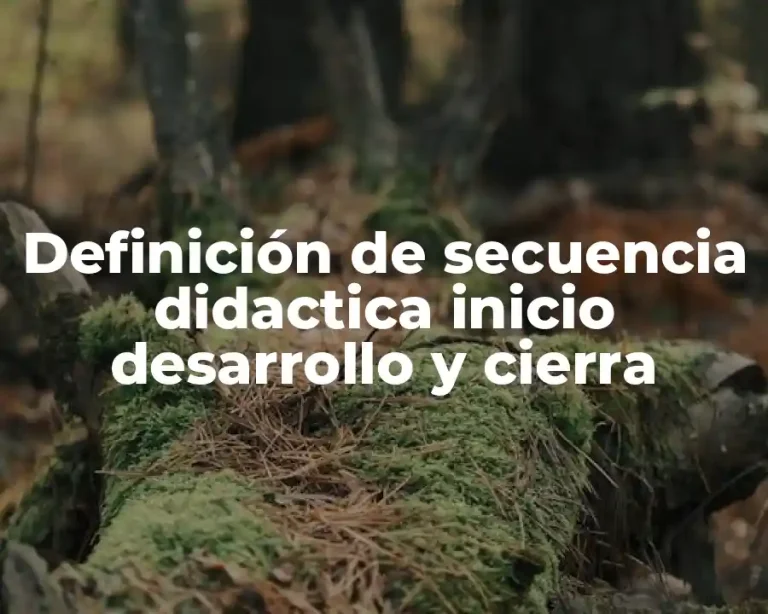 Definición de secuencia didactica inicio desarrollo y cierra