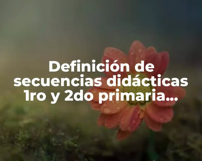 Definición de secuencias didácticas 1ro y 2do primaria ubicación espacial
