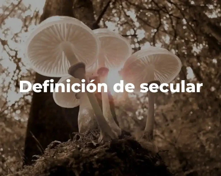 Definición de secular