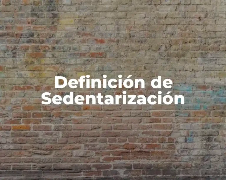 Definición de Sedentarización
