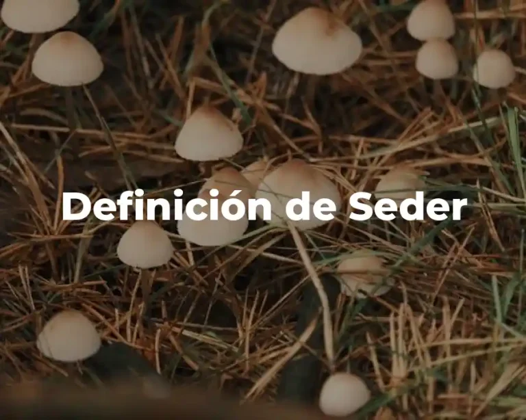 Definición de Seder