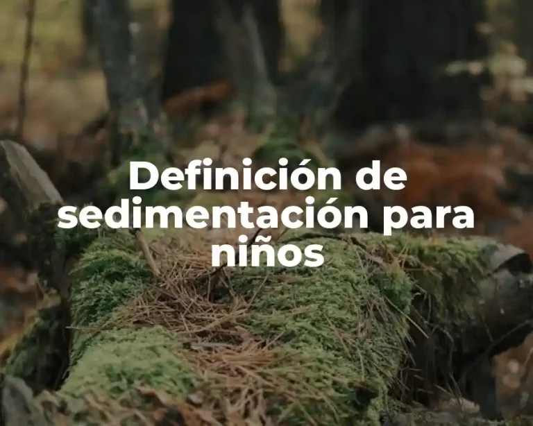 Definición de sedimentación para niños