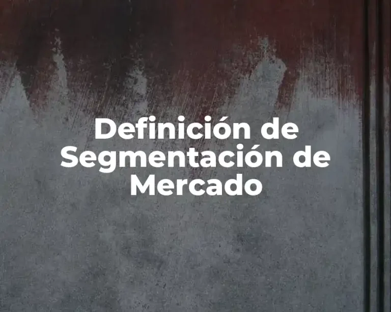 Definición de Segmentación de Mercado