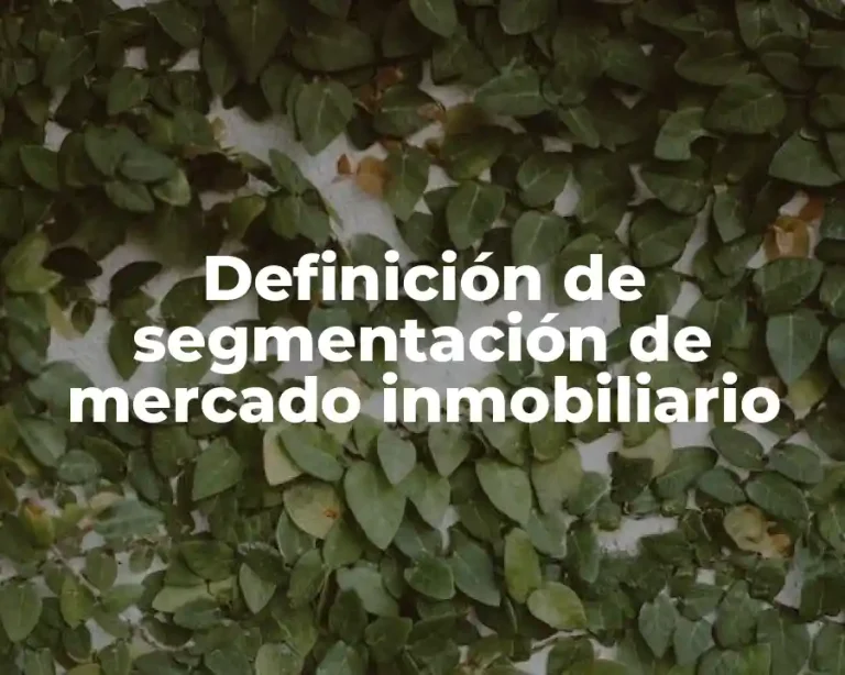 Definición de segmentación de mercado inmobiliario