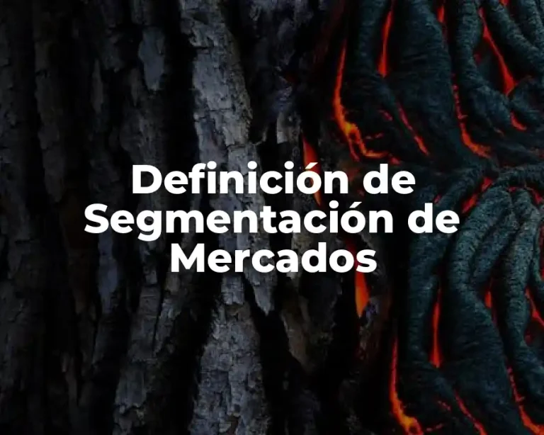 Definición de Segmentación de Mercados