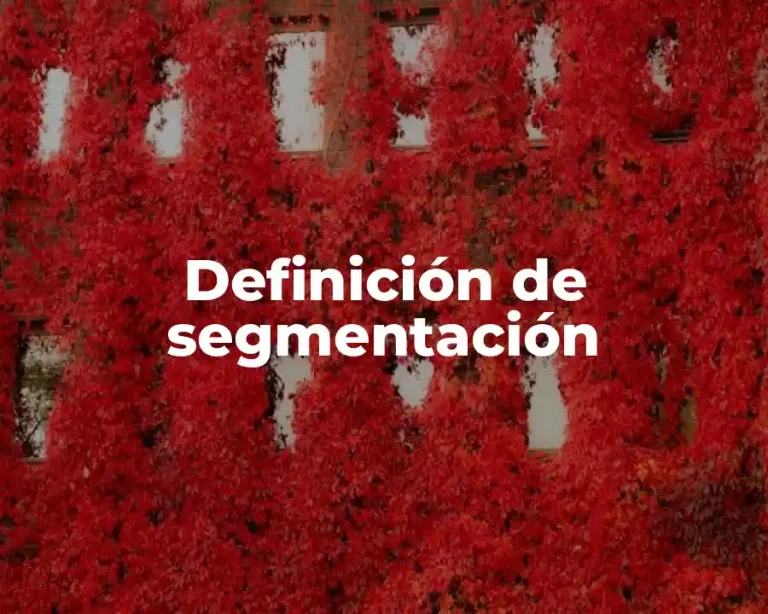 Definición de segmentación