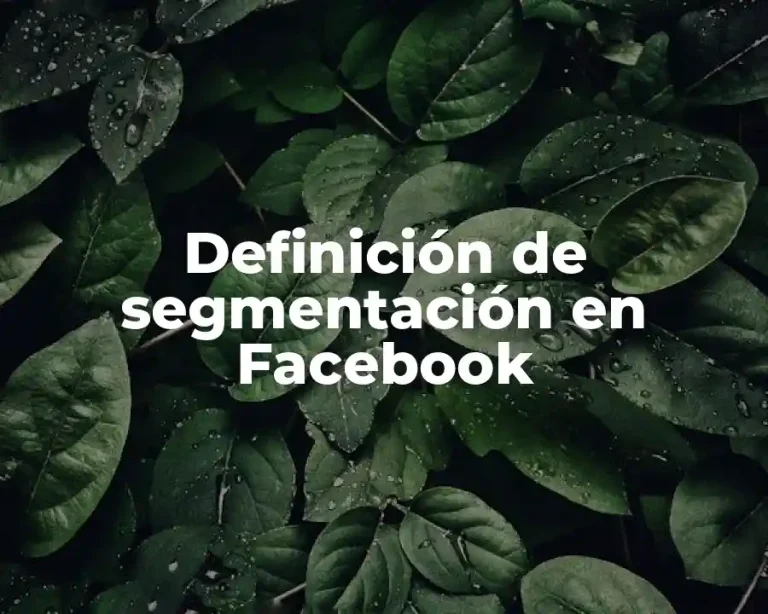 Definición de segmentación en Facebook