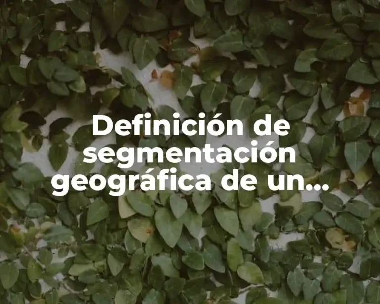Definición de segmentación geográfica de un producto
