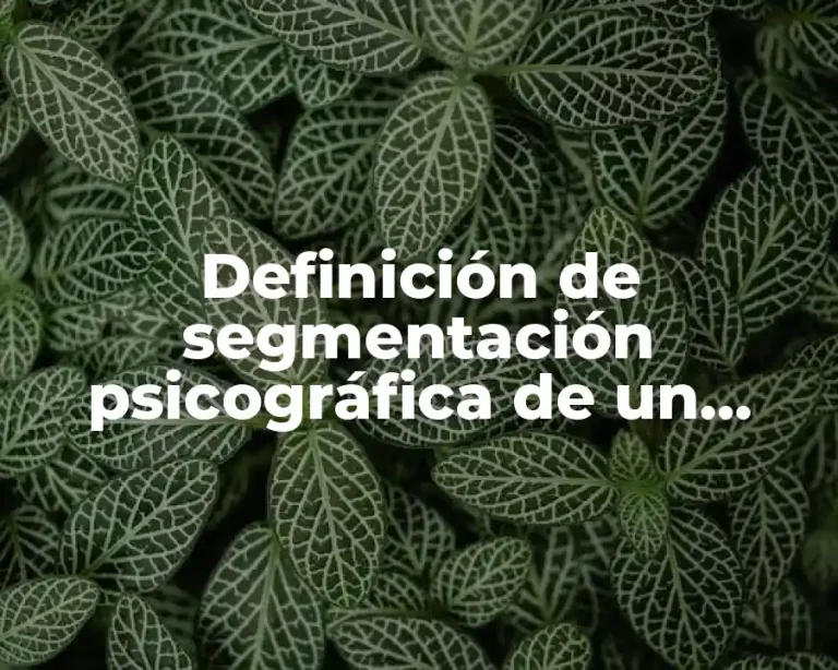 Definición de segmentación psicográfica de un producto