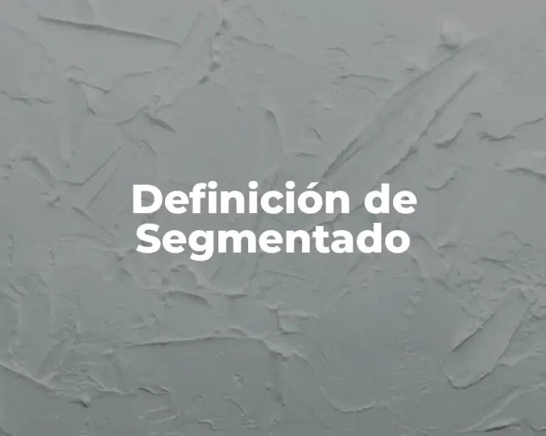 Definición de Segmentado