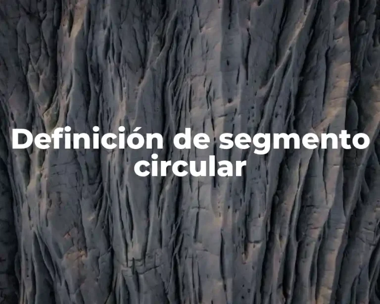 Definición de segmento circular