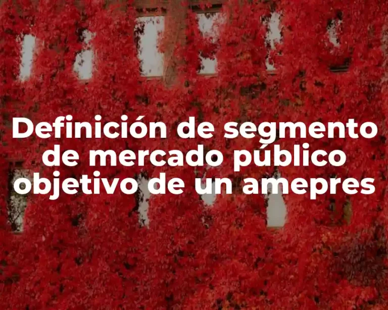 Definición de segmento de mercado público objetivo de un amepres