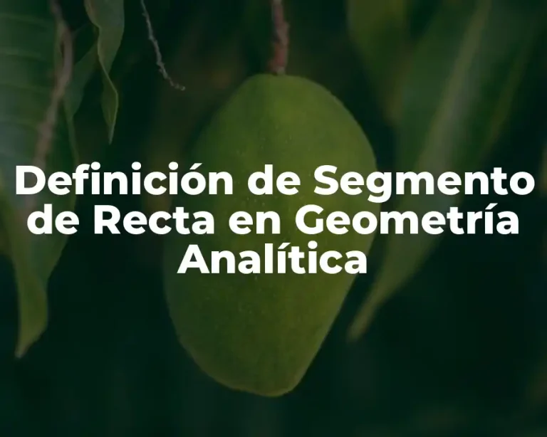 Definición de Segmento de Recta en Geometría Analítica