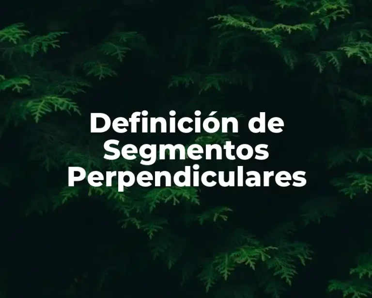 Definición de Segmentos Perpendiculares