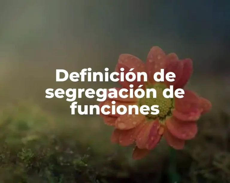 Definición de segregación de funciones