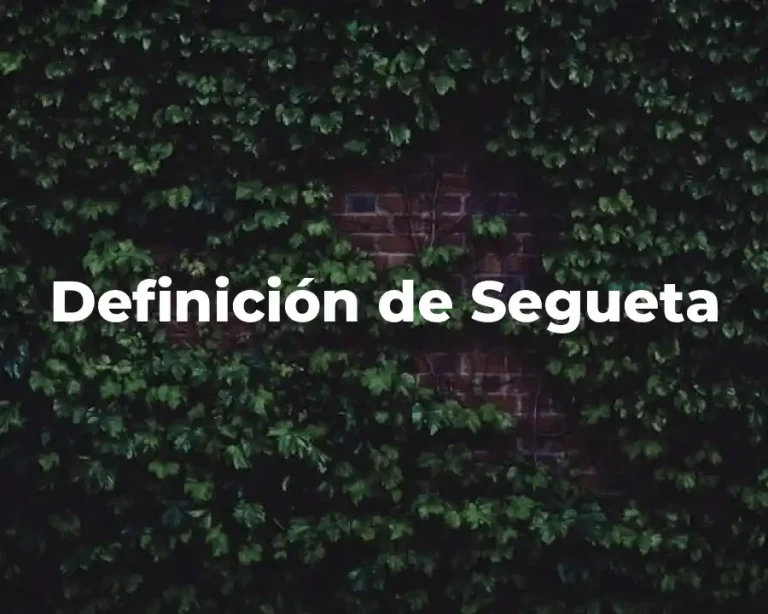 Definición de Segueta