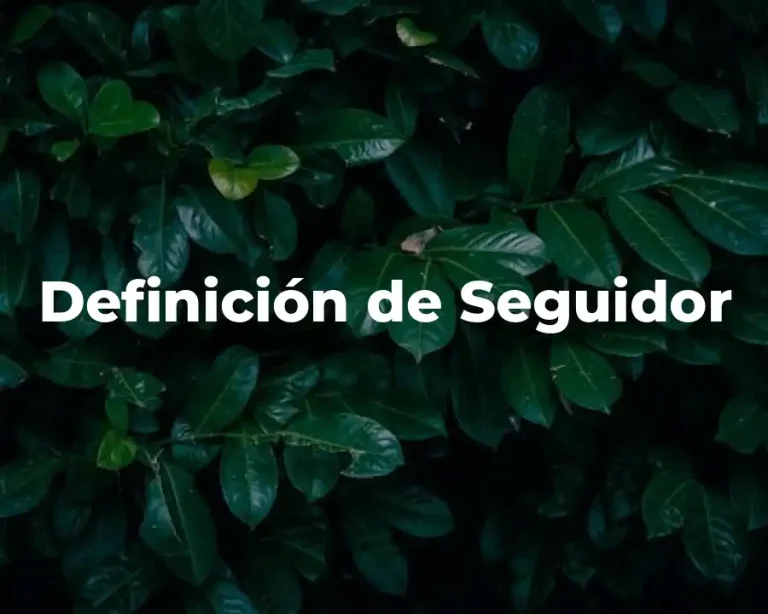 Definición de Seguidor