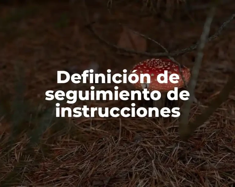Definición de seguimiento de instrucciones