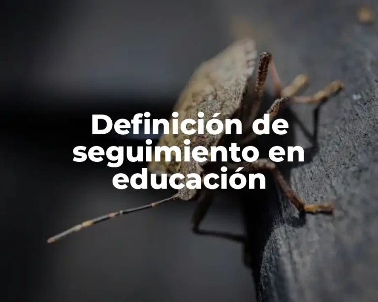 Definición de seguimiento en educación