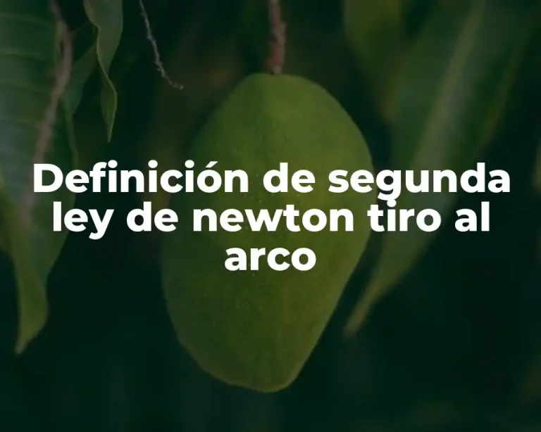 Definición de segunda ley de newton tiro al arco