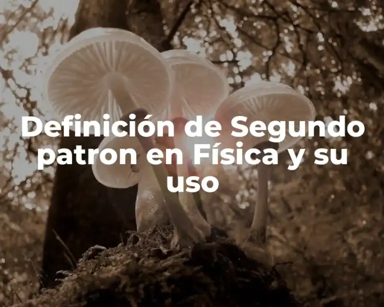 Definición de Segundo patron en Física y su uso