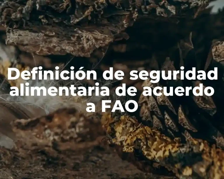 Definición de seguridad alimentaria de acuerdo a FAO