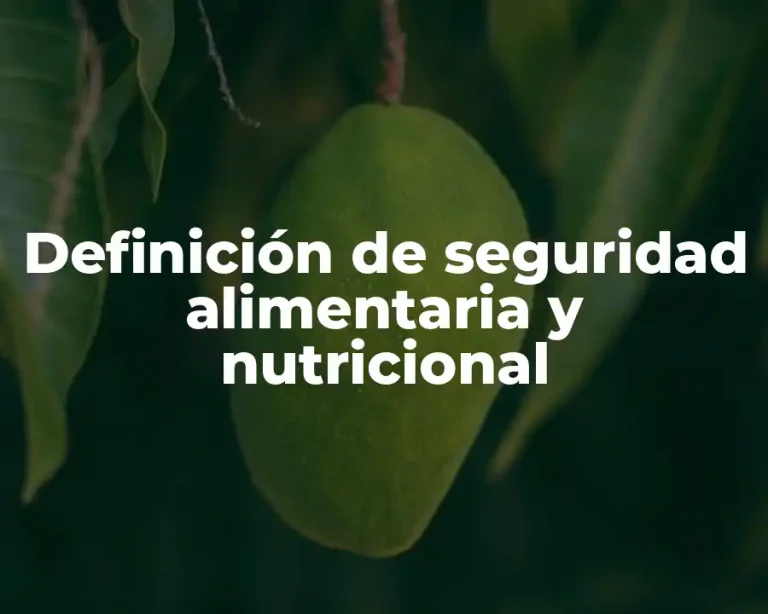Definición de seguridad alimentaria y nutricional