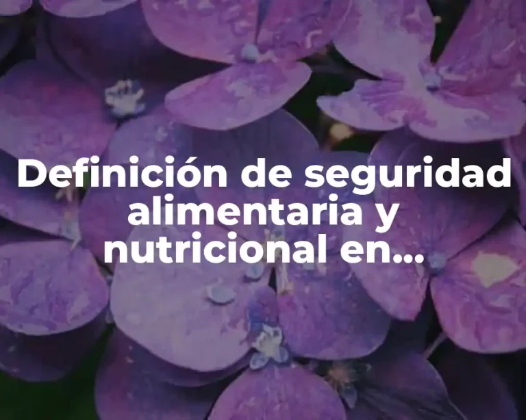 Definición de seguridad alimentaria y nutricional en Guatemala