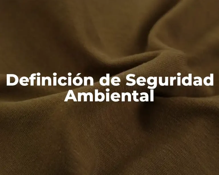 Definición de Seguridad Ambiental