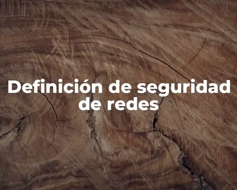 Definición de seguridad de redes
