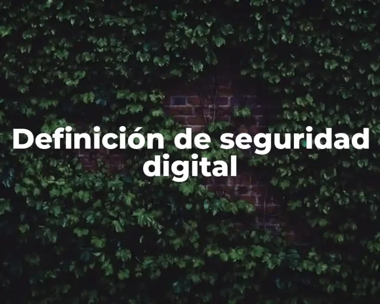 Definición de seguridad digital