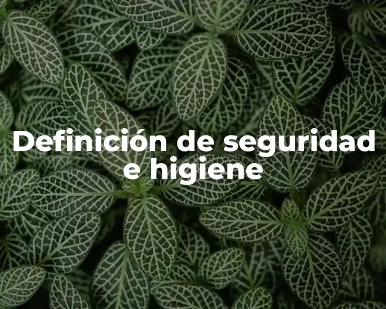 Definición de seguridad e higiene