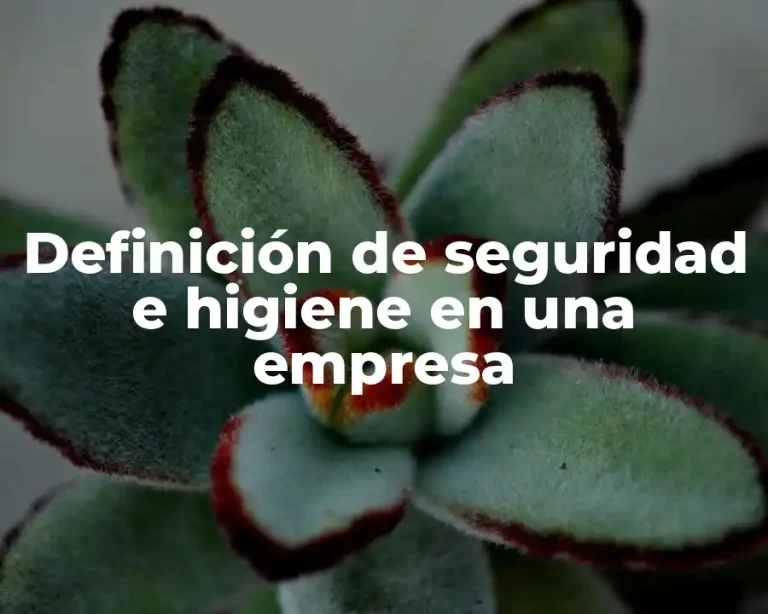 Definición de seguridad e higiene en una empresa