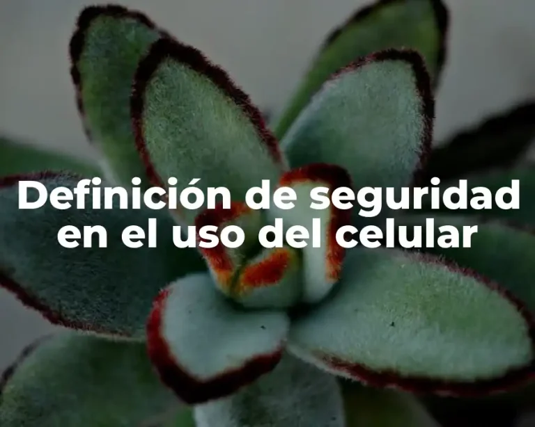 Definición de seguridad en el uso del celular